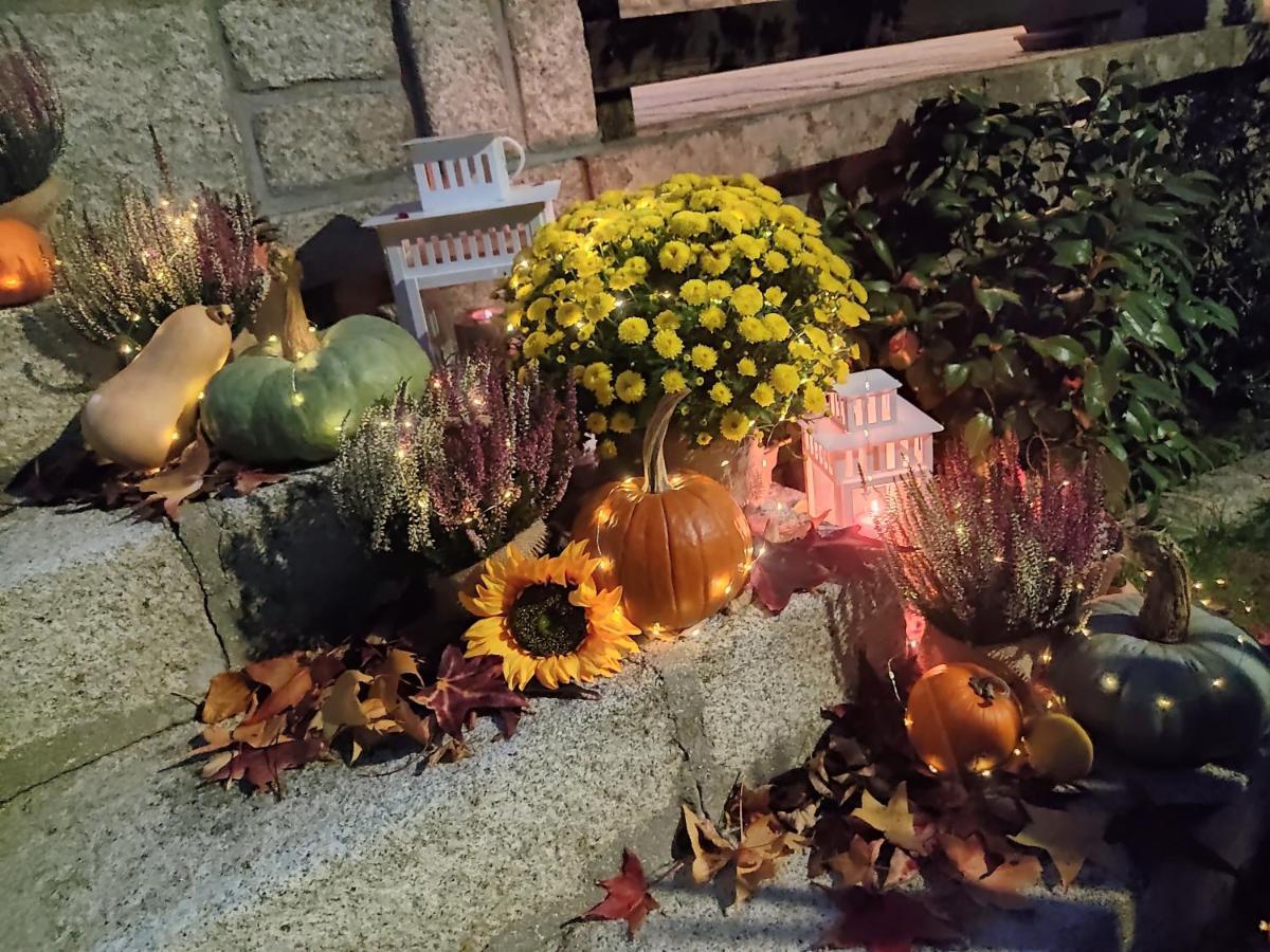 Posada Rural La Flor لاس نافاس ديل ماركيز المظهر الخارجي الصورة